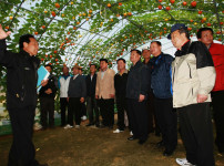 유성구 송정동의 박터널과 안면도 박 터널의 만남